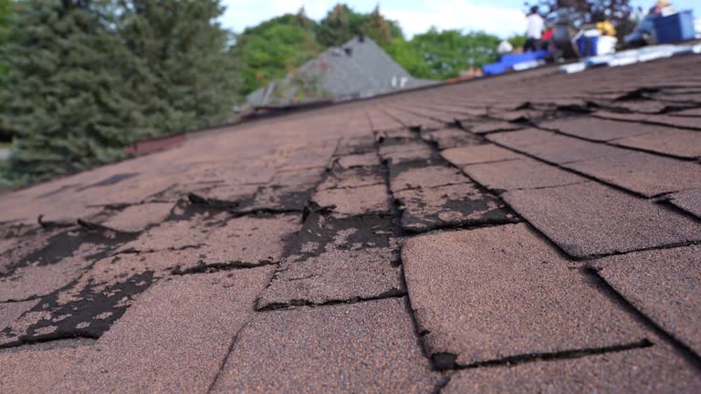 Best Cold Roofs  in Nes, IL
