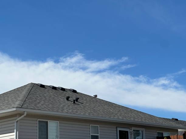 Waterproofing in Niles, IL